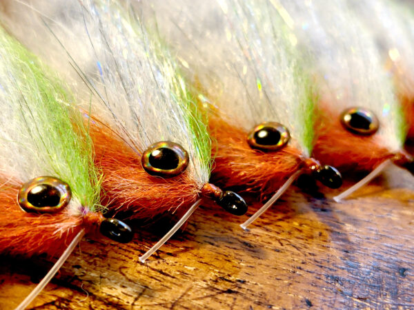 Group of Peacock Bass Flies