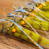 Redfish fly for the Everglades