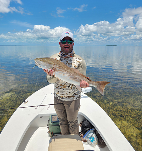 Big Everglades Redfish
