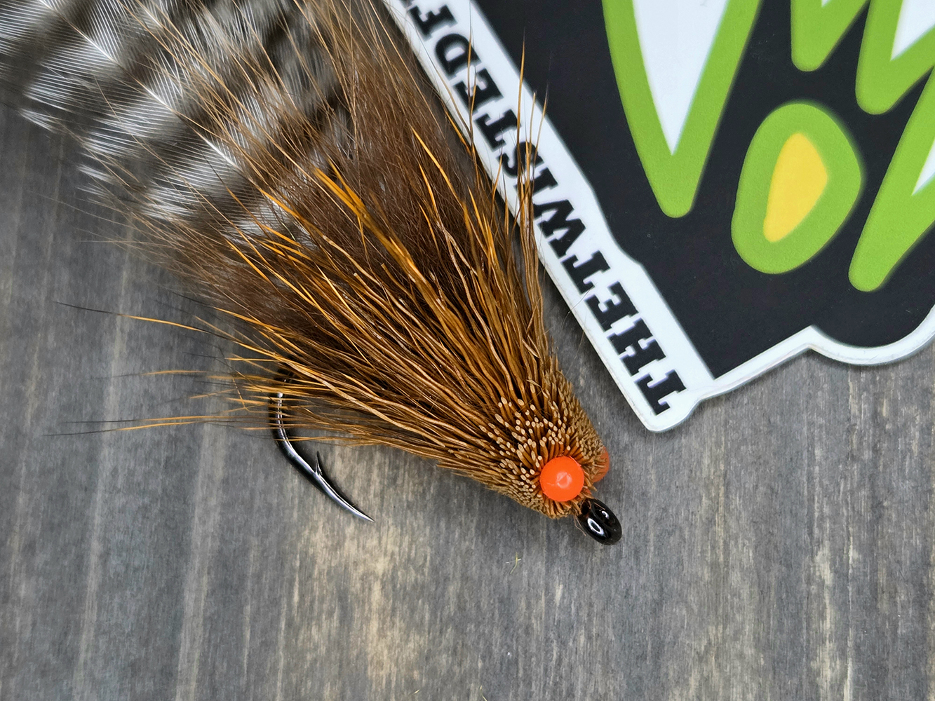 Palm Roach Head